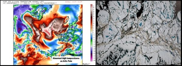 hautes températures anormales dans le pôle nord