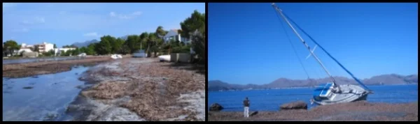 last summer surprise a storm in Pollensa