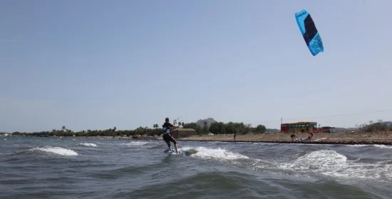 5 Vorderbein und übt Druck auf das Hinterbein aus