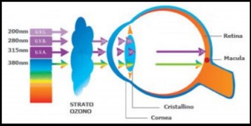 5 como afecta al ojo el sol cuando kitesurfing