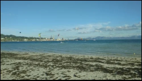 au fin des leçons la plupart de la flotte a abandonné et a atterri leurs kites a Majorque 