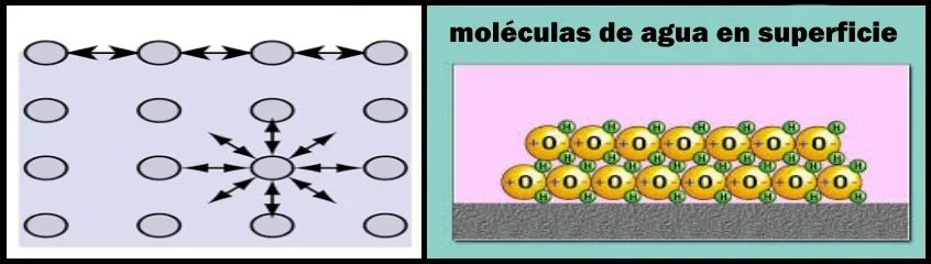 moleculas de agua y sus interacciones