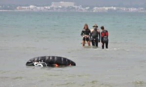 tension artificial pollensa cursos de kite en mallorca