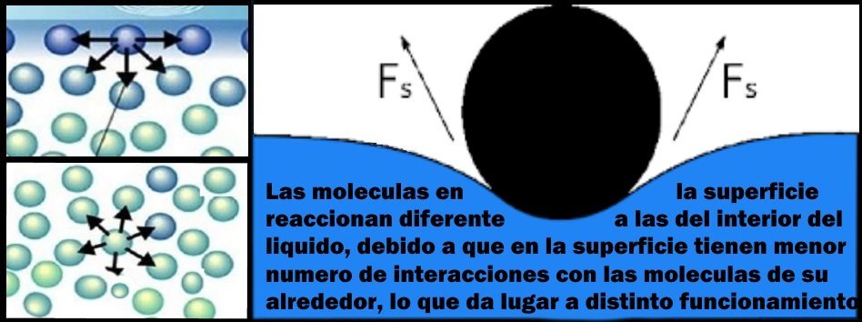 tension superficial, por que el agua actua como un fluido pegajoso