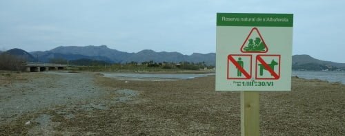3 cartel-puente-kitesurf mallorca