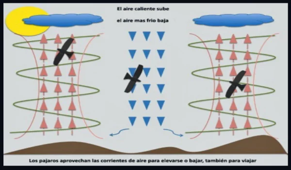 2-aire-caliente-y-aire-frio-kitesurf-en-mallorca