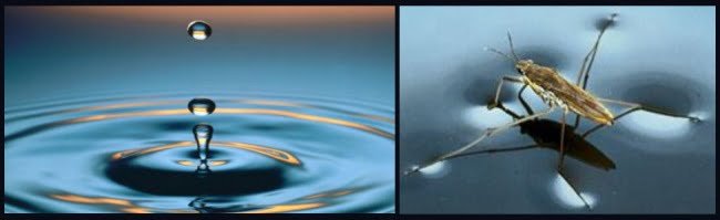 el agua no es blanda