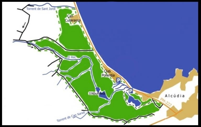 Our-kiteschool-kitesurfing-mallorca-offer-kite-lessons-in-the-authorized-areas-of-SAlbufereta-Nature-Park-1-768x484-2